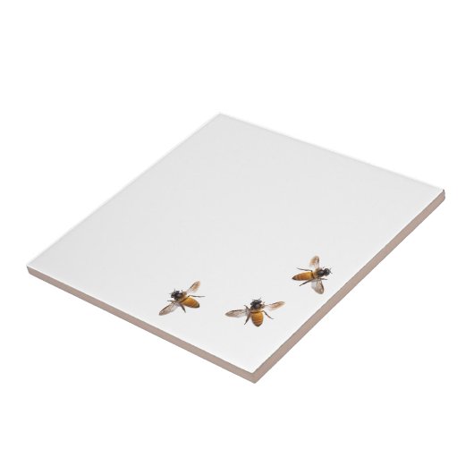 Honingbij hommel tegeltje (Zijkant)