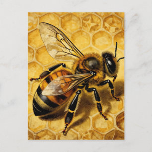 Honingbij Honingraat Goud Natuurlijk  Briefkaart