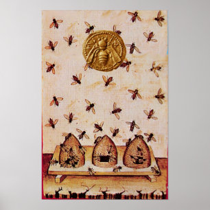 HONINGBIJ, IMBEERDERIJ, IMBEERDER POSTER