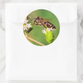 Honingbij in actie ronde sticker (Tas)