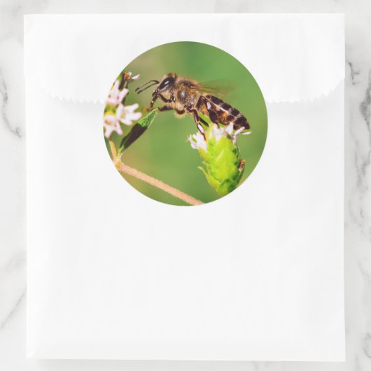 Honingbij in actie ronde sticker (Tas)