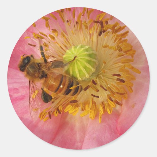 Honingbij in de papaver ronde sticker (Voorkant)