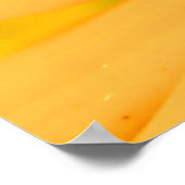 Honingbij in het centrum van de dingen poster (Hoek)