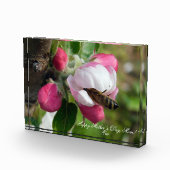 Honingbij in Roze Appelbloesem | Aangepaste FotoBl Fotoblokken (Rechts)