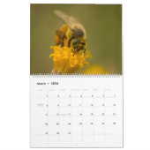 Honingbij Kalender (Mar 2026)