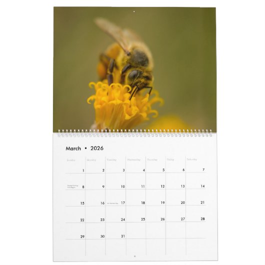 Honingbij Kalender (Mar 2026)