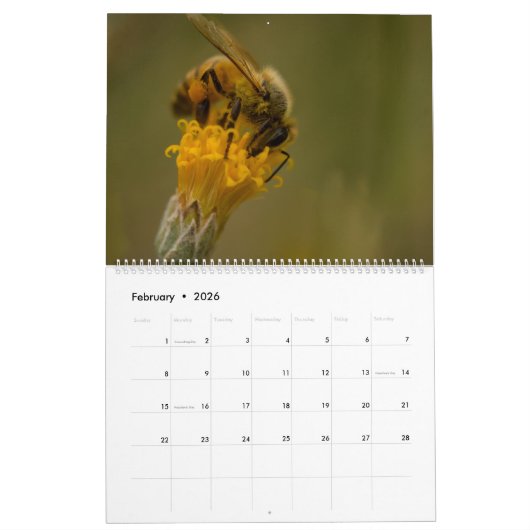 Honingbij Kalender (Feb 2026)