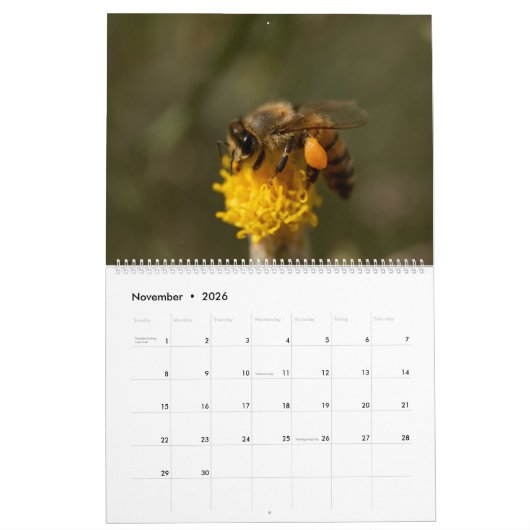 Honingbij Kalender (Nov 2026)