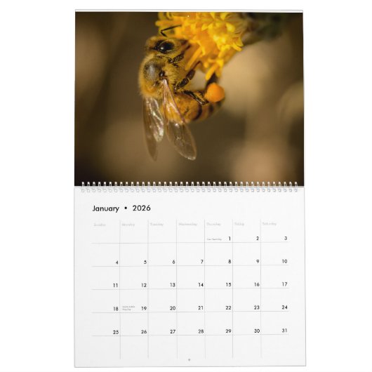 Honingbij Kalender (Jan 2026)