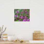 Honingbij Oogst Nectar Poster (Keuken)