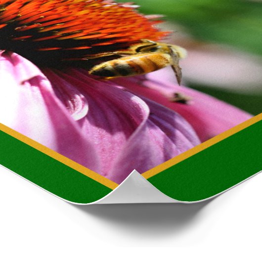 Honingbij op Echinacea Daisy Flower Abstract Poster (Hoek)
