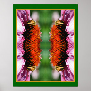 Honingbij op Echinacea Daisy Flower Abstract Poster