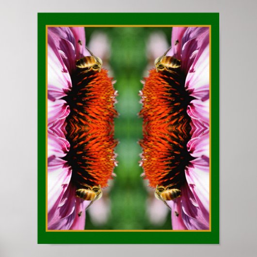 Honingbij op Echinacea Daisy Flower Abstract Poster (Voorkant)