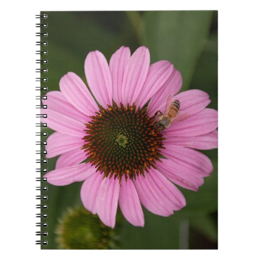 Honingbij op Echinacea Notitieboek (Voorkant)