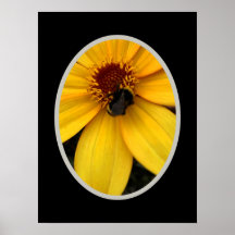 Honingbij OP EEN GELE BLOEM