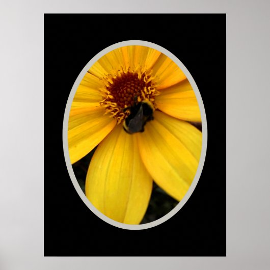 Honingbij OP EEN GELE BLOEM Poster (Voorkant)