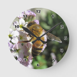 Honingbij op Heliotrope ronde wandklok