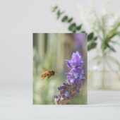 Honingbij op Lavender Briefkaart (Staand voorkant)