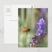 Honingbij op Lavender Briefkaart (Voorkant / Achterkant)