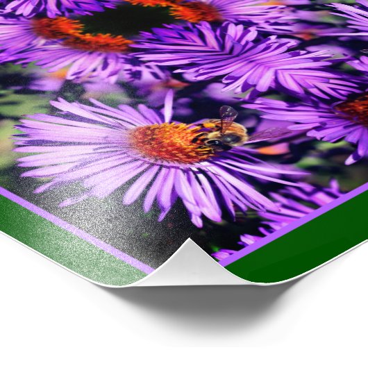 Honingbij op Paarse asterbloem Abstract Foto Afdruk (Hoek)