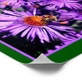 Honingbij op Paarse asterbloem Abstract Poster (Hoek)