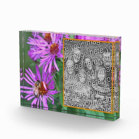 Honingbij op roze asterbloem Voeg je eigen toe Fotoblokken (Rechts)