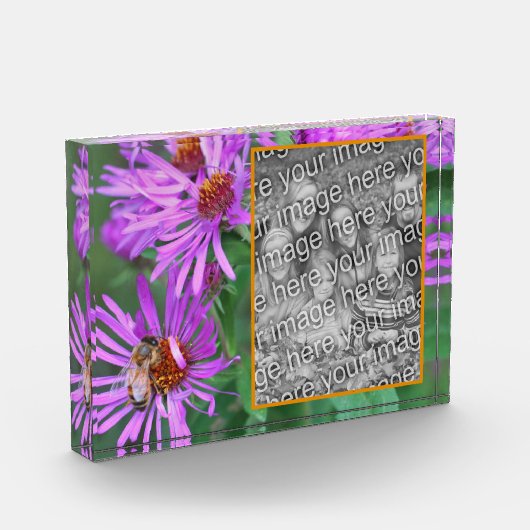 Honingbij op roze asterbloem Voeg je eigen toe Fotoblokken (Links)