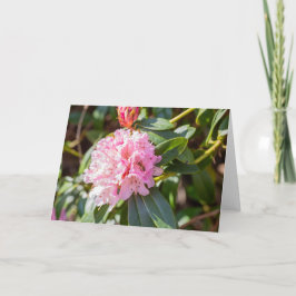 Honingbij op roze Rhododendron Note Kaart