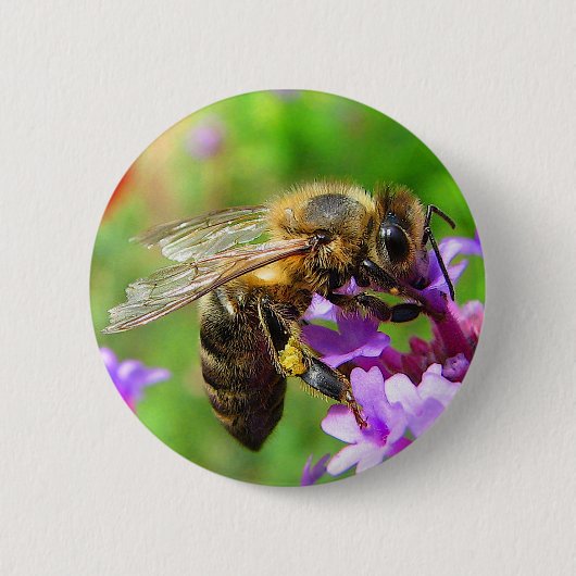 Honingbij op Verbena Ronde Button 5,7 Cm (Voorkant)