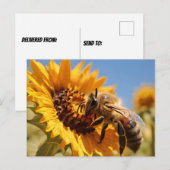 Honingbij polijsten zonnebloem briefkaart (Voorkant / Achterkant)