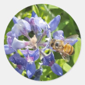 honingbij-sticker ronde sticker (Voorkant)