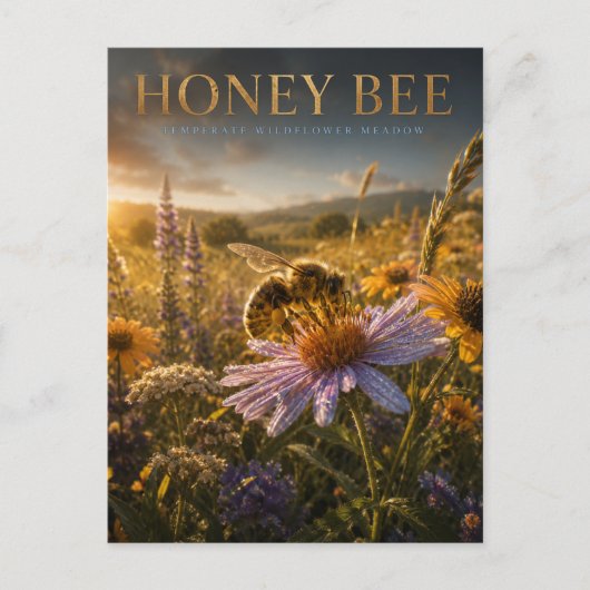 Honingbij Wilde Bloemenweide DIEREN Briefkaart (Voorkant)