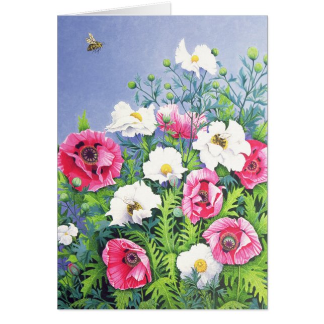 Honingbijen (Voorkant)