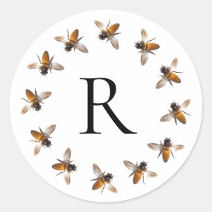 Honingbijen, bijen, hommels, insecten ronde sticker