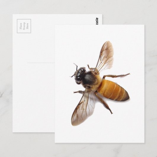 Honingbijen Briefkaart (Voorkant / Achterkant)