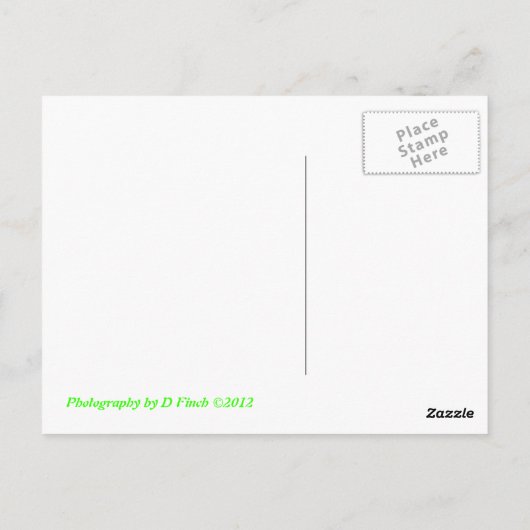 Honingbijen Briefkaart (Achterkant)