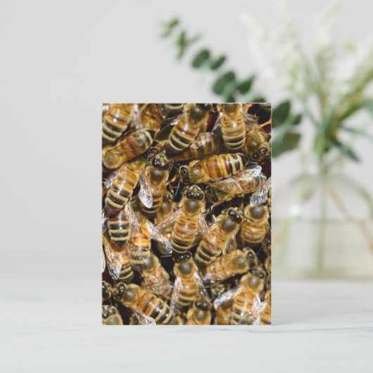 Honingbijen Briefkaart (Staand voorkant)