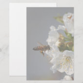 Honingbijen Briefpapier (Voorkant / Achterkant)