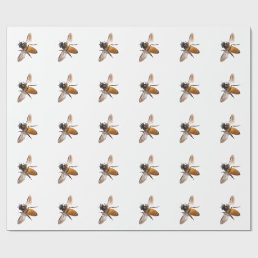 Honingbijen Cadeaupapier (Vlak)