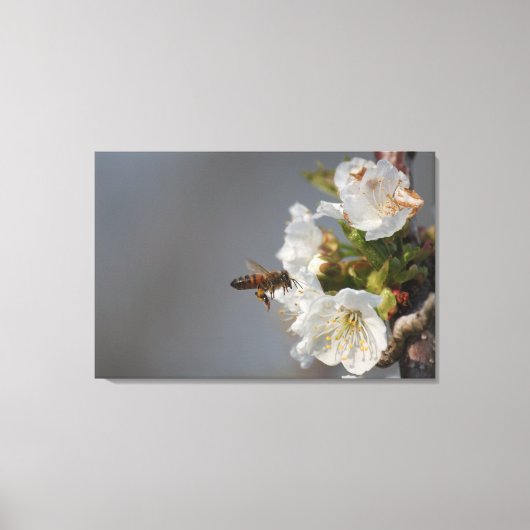 Honingbijen Canvas Afdruk (Voorkant)