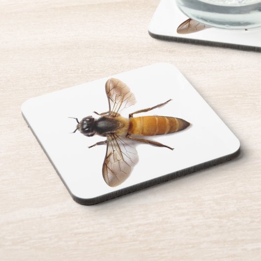 Honingbijen Drankjes Onderzetter (Linkerzijde)