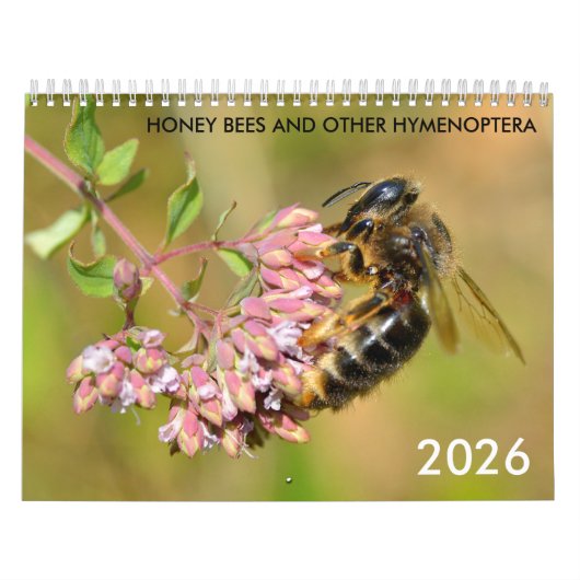 Honingbijen en andere kalender van hymenoptera (Hoes)
