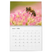 Honingbijen en andere kalender van hymenoptera (Mar 2026)