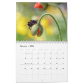 Honingbijen en andere kalender van hymenoptera (Feb 2026)