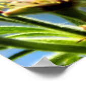 Honingbijen en Apple Blossom Poster (Hoek)