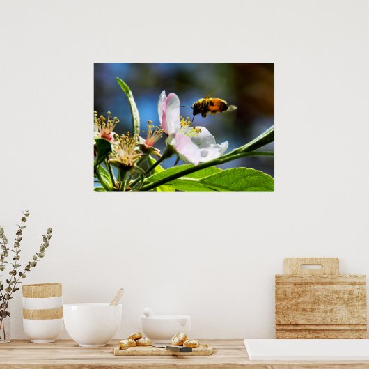 Honingbijen en Apple Blossom Poster (Keuken)