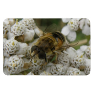 Honingbijen en bloemen Premium Magnet Magneet