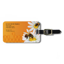 Honingbijen en Daisy Flowers