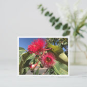 Honingbijen en Eucalyptusbloemen Briefkaart (Staand voorkant)