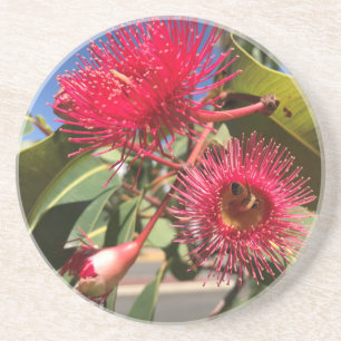 Honingbijen en Eucalyptusbloemen Zandsteen Onderzetter